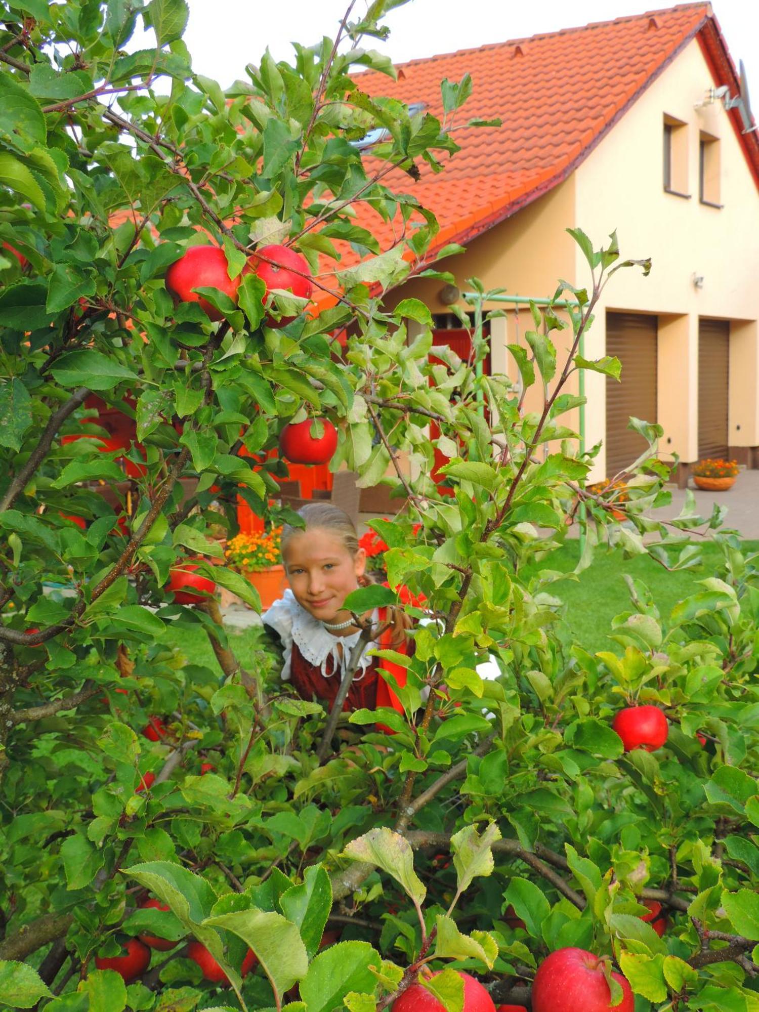 Linda Ліптовський Мікулаш